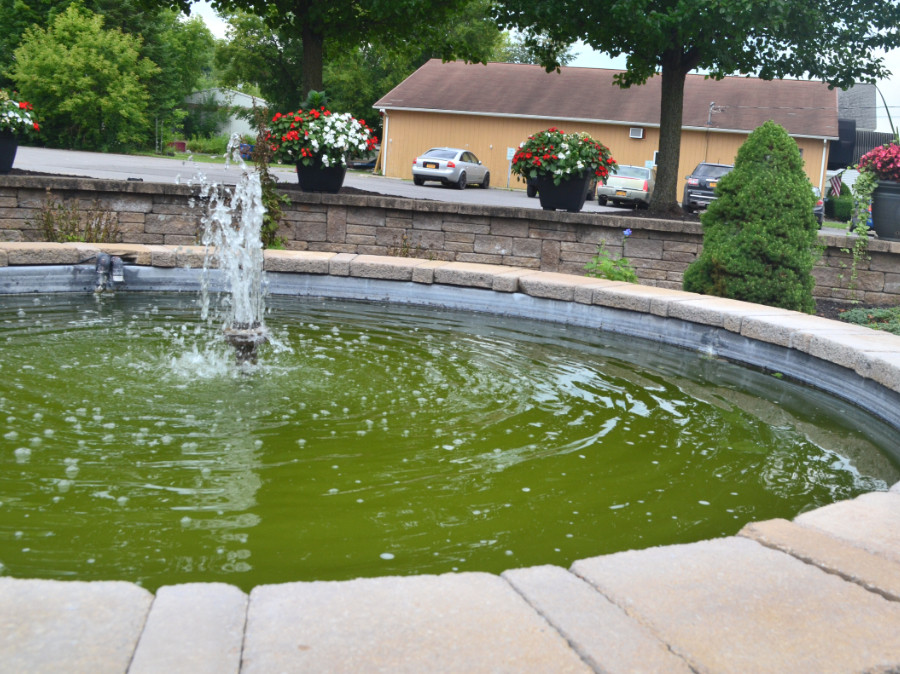 Fountain in the Village of Frankfort